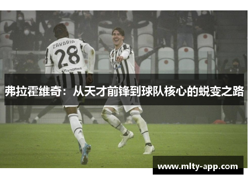弗拉霍维奇：从天才前锋到球队核心的蜕变之路